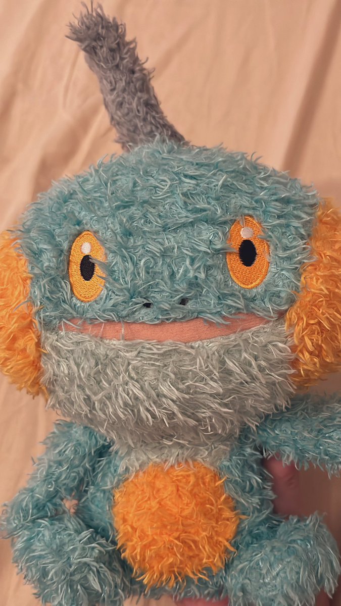 ゼニガメ、カメール、カメックスで8年間毎年ポケモン青やってた人間なので、1番の理想がどうしても、可愛い→可愛い→ゴツかっこいいなのよね。

個人的にその再来がミズゴロー、ヌマクロー、ラグラージだったから三度目の理想御三家来てくれたらもう思い残すことはないわ…はーヌマクローかわい