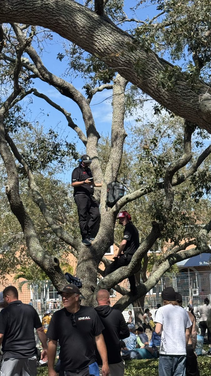 Andrew Navarro tweet media