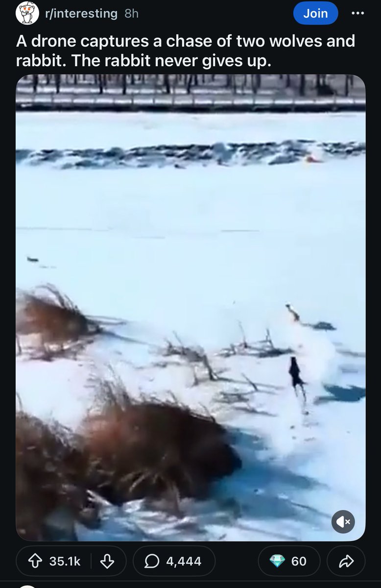 Mr. Serendipity tweet media