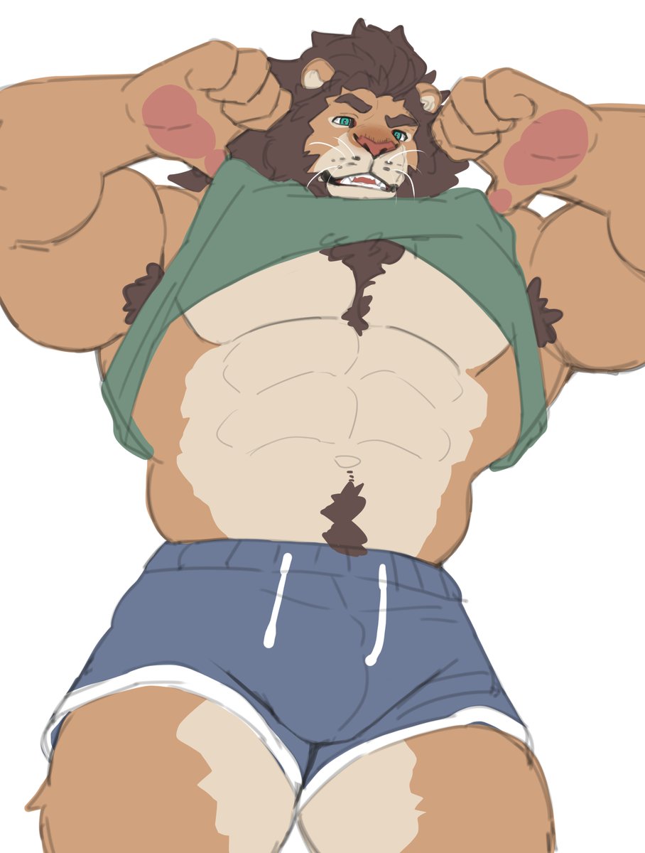 ＿＿＿ tweet media