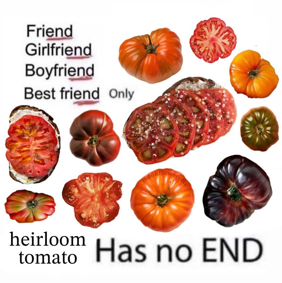 The Notorious J.O.V. (@whotfisjovana) on Twitter photo 