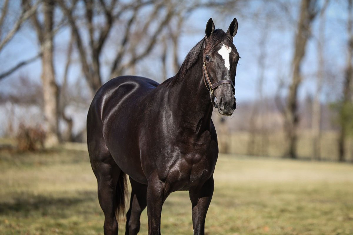 Jstewartrr tweet media