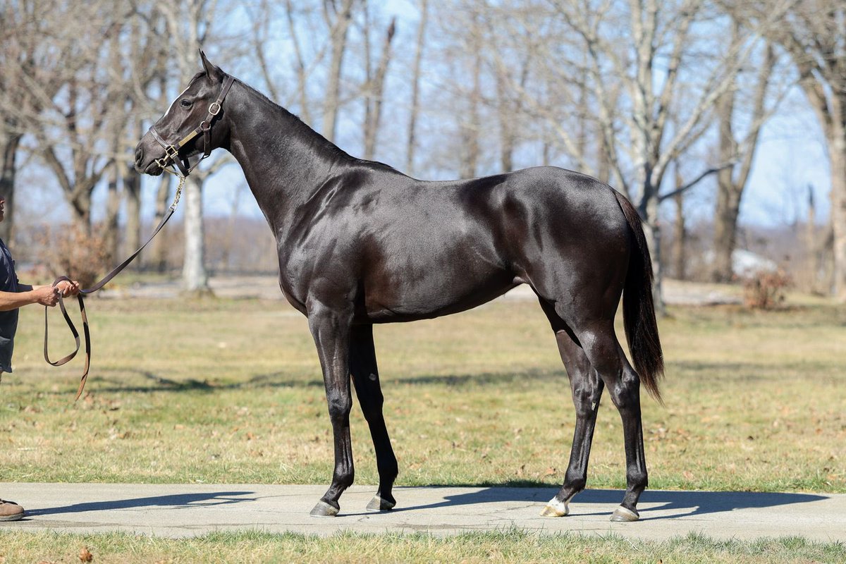 Jstewartrr tweet media