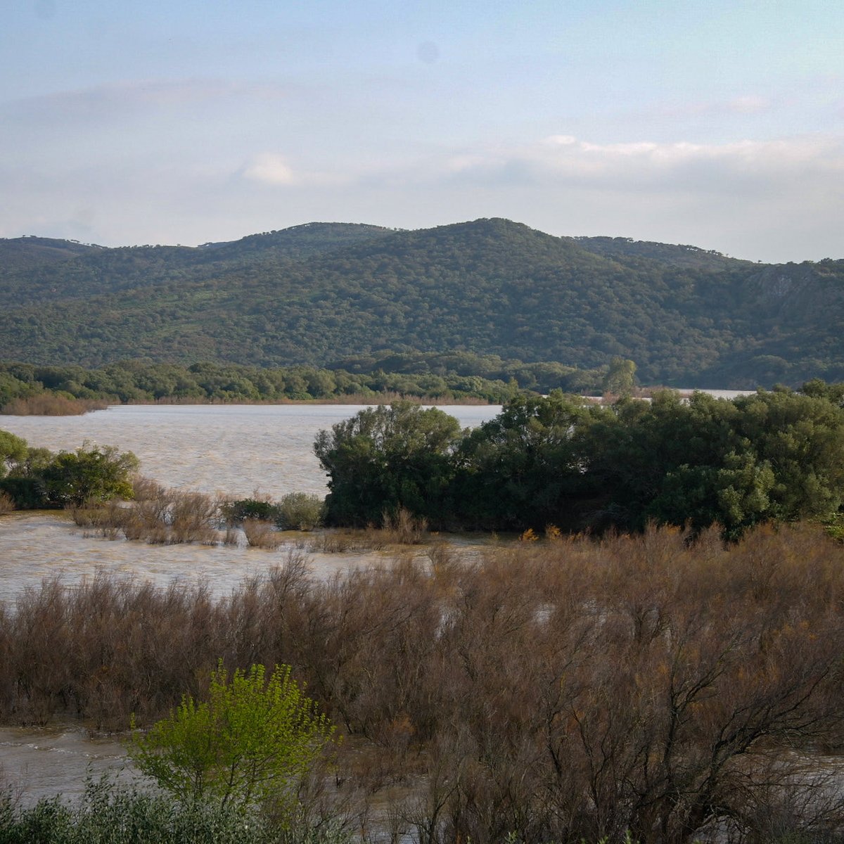 JCaibarN's tweet photo. Embalse del Celemín. 98% #Cádiz #LaJanda https://t.co/aXHLsyvMq9