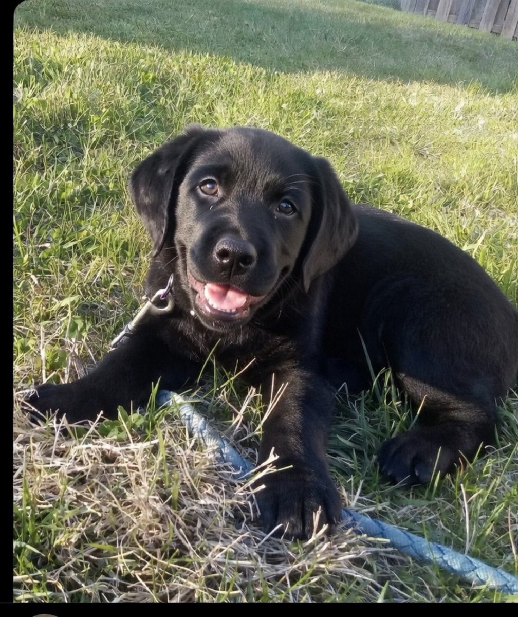 Scott D Stewart tweet media