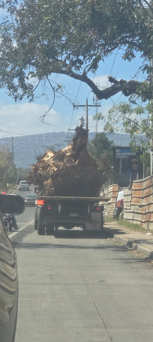 Lucía Hernández tweet media