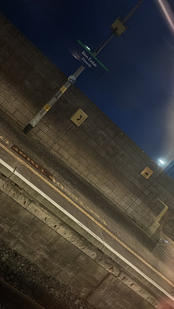 Trisha Flanagan tweet media