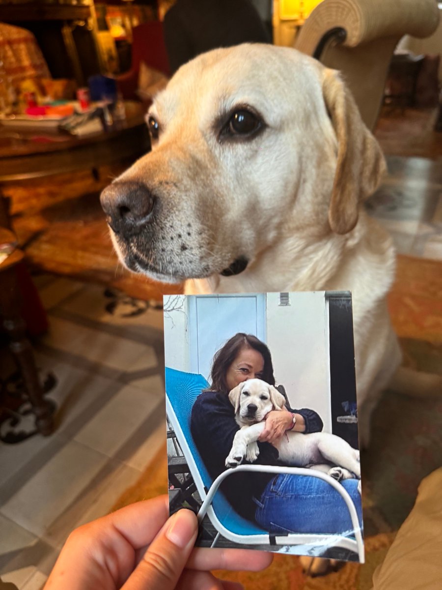 Caroline Parmentier tweet media