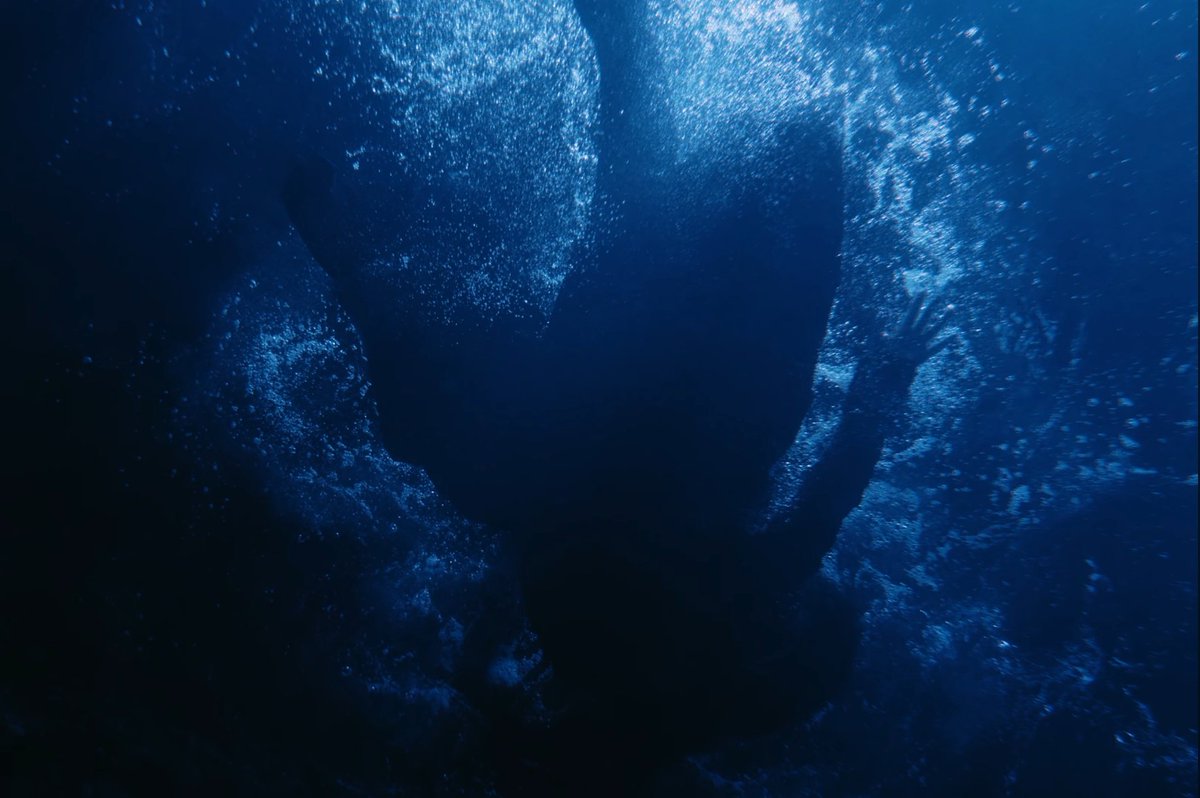 MiguelAle tweet media