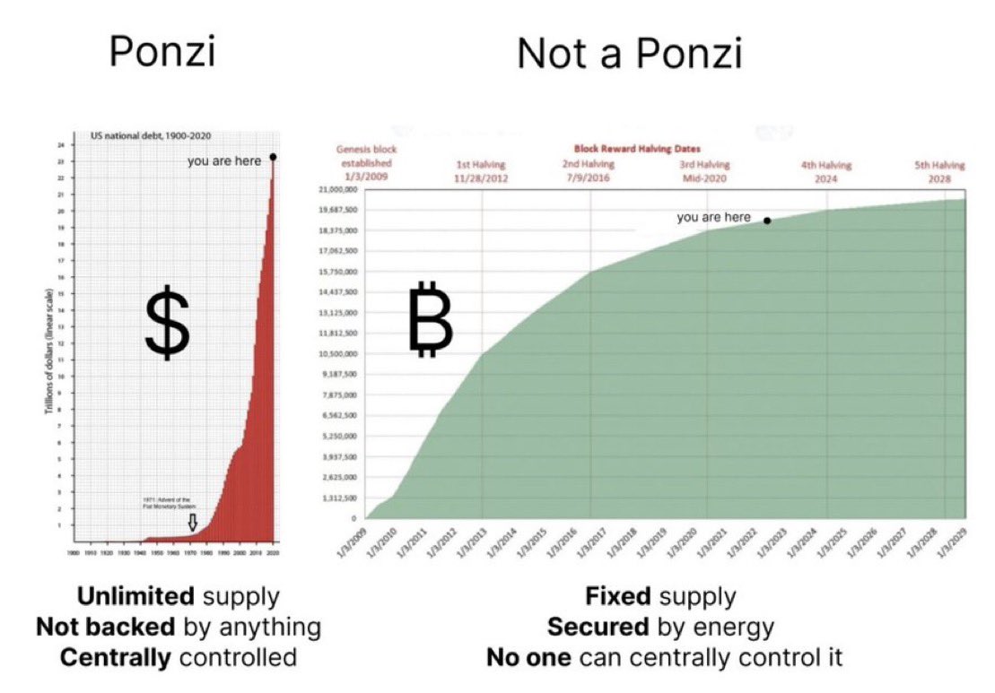 ₿itWarrior ∞/21M 🌋⚡️🕳🐇🍊💊 tweet media