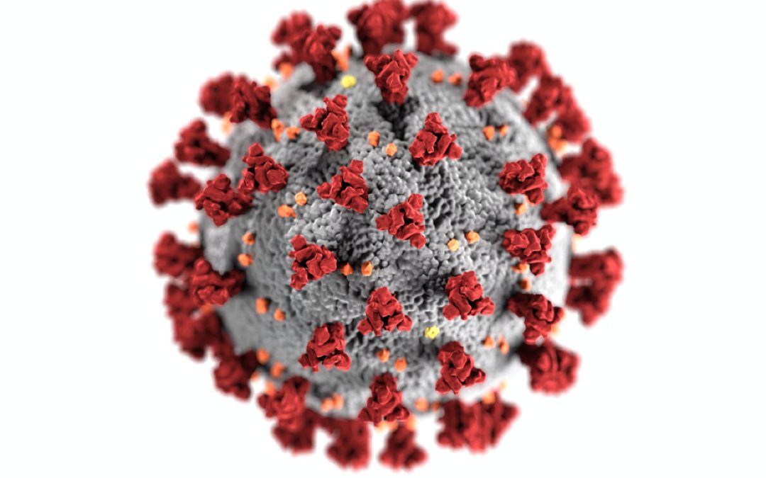 ThePChris's tweet photo. 🚨🚨Epstein's files say the COVID-19 pandemic was fabricated.

God will judge all the Nigerian Doctors who advocated for this vaccine without them actually doing their findings. https://t.co/2LwLi2kpl7