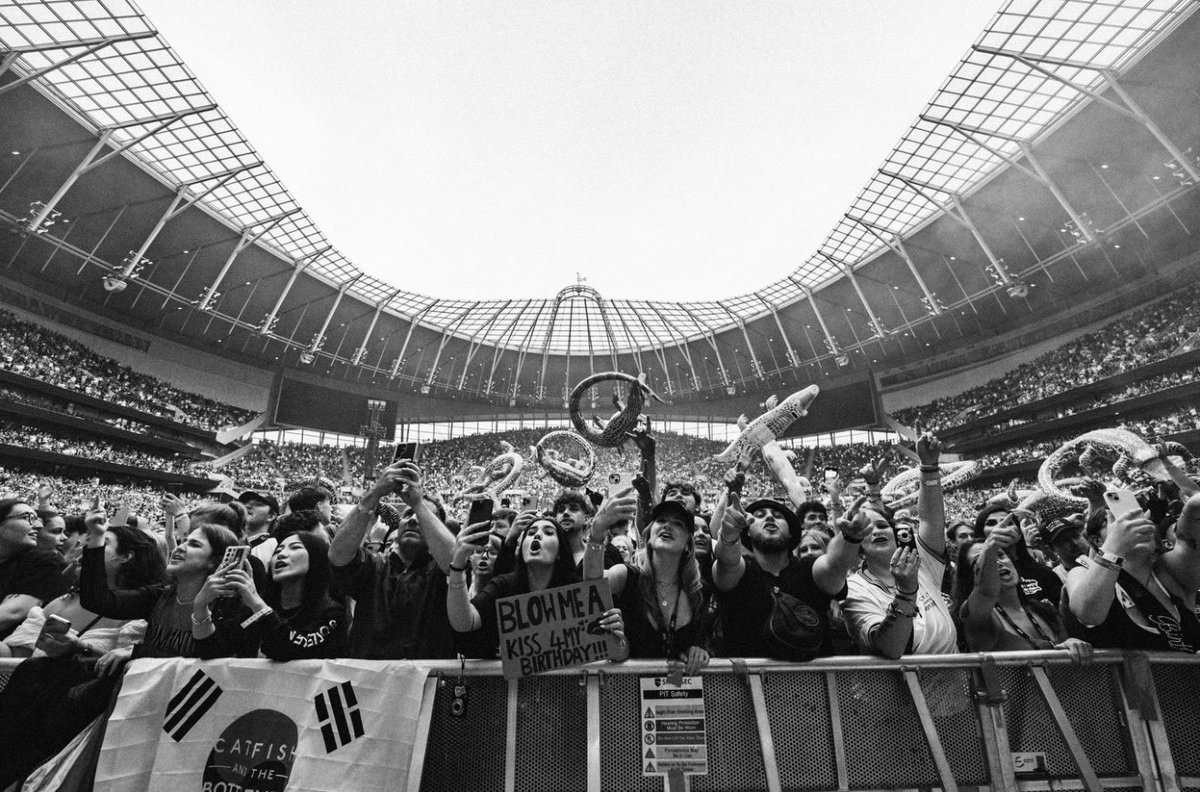 catfish and the bottlemen updates tweet media