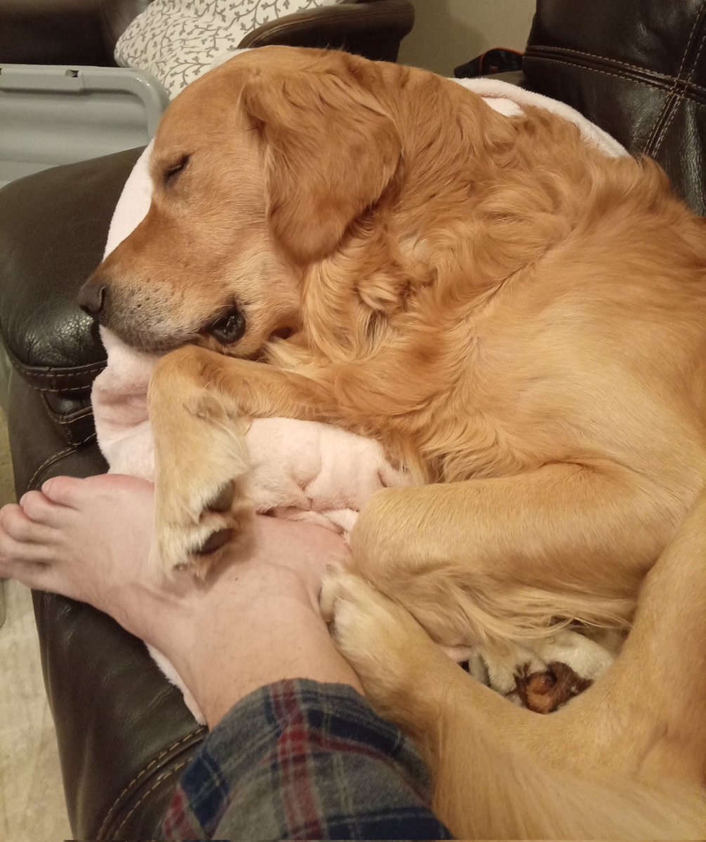 Saturday night cuddles 😍💤after a long walk 🦮