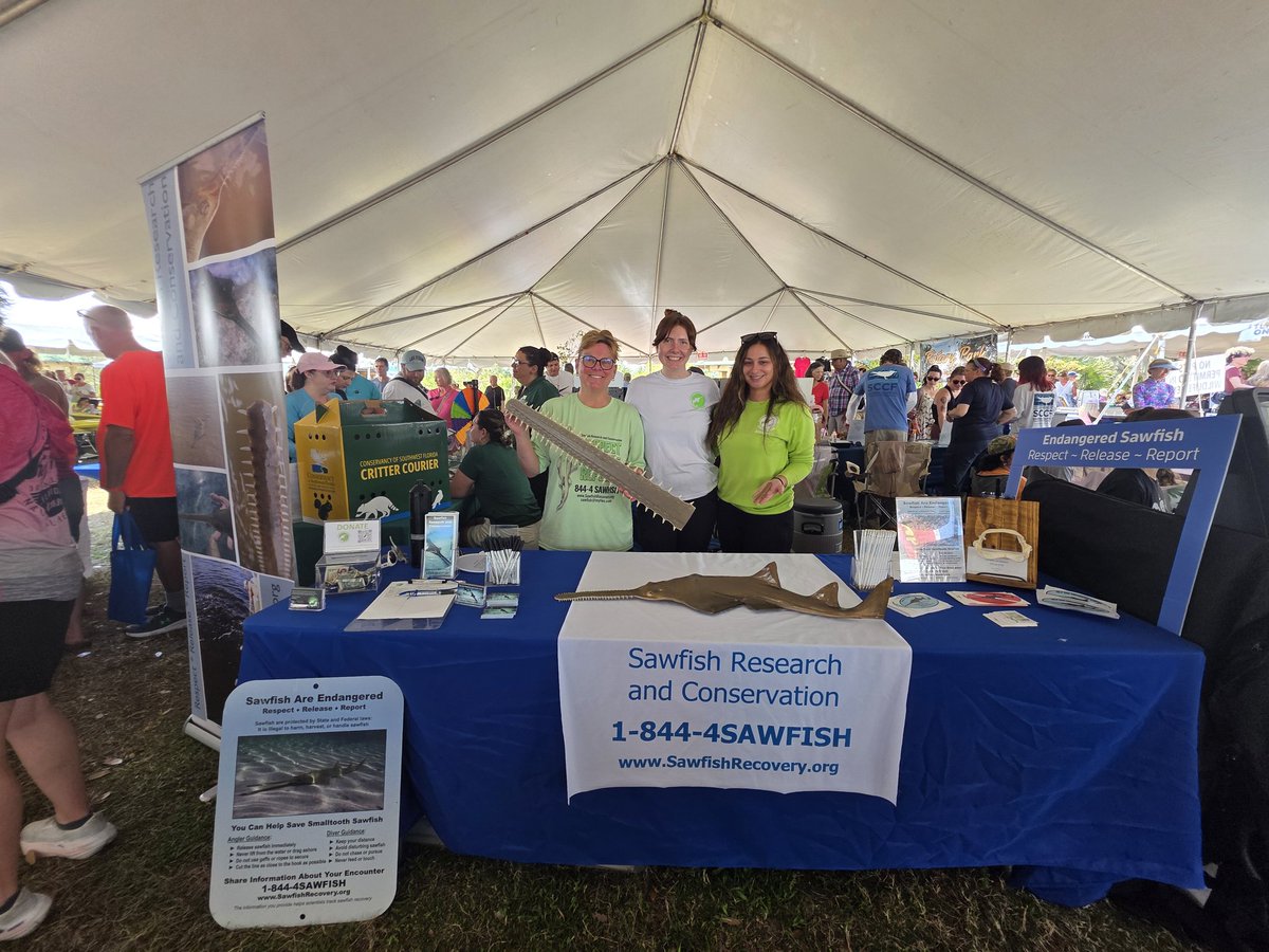 CoastalElasmos's tweet photo. There's still time to come visit our sawfish booth at the Burrowing Owl and Nature Festival! https://t.co/sdSEgcn34Y