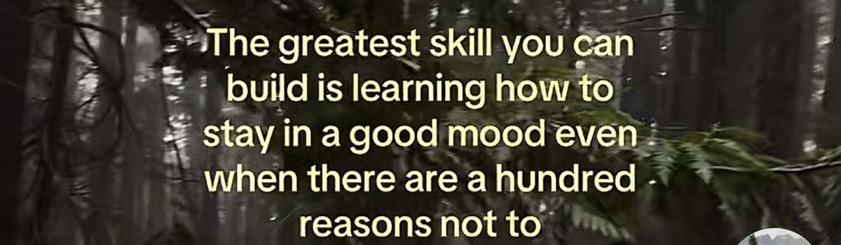 canhzz (@sunszz59657) on Twitter photo 