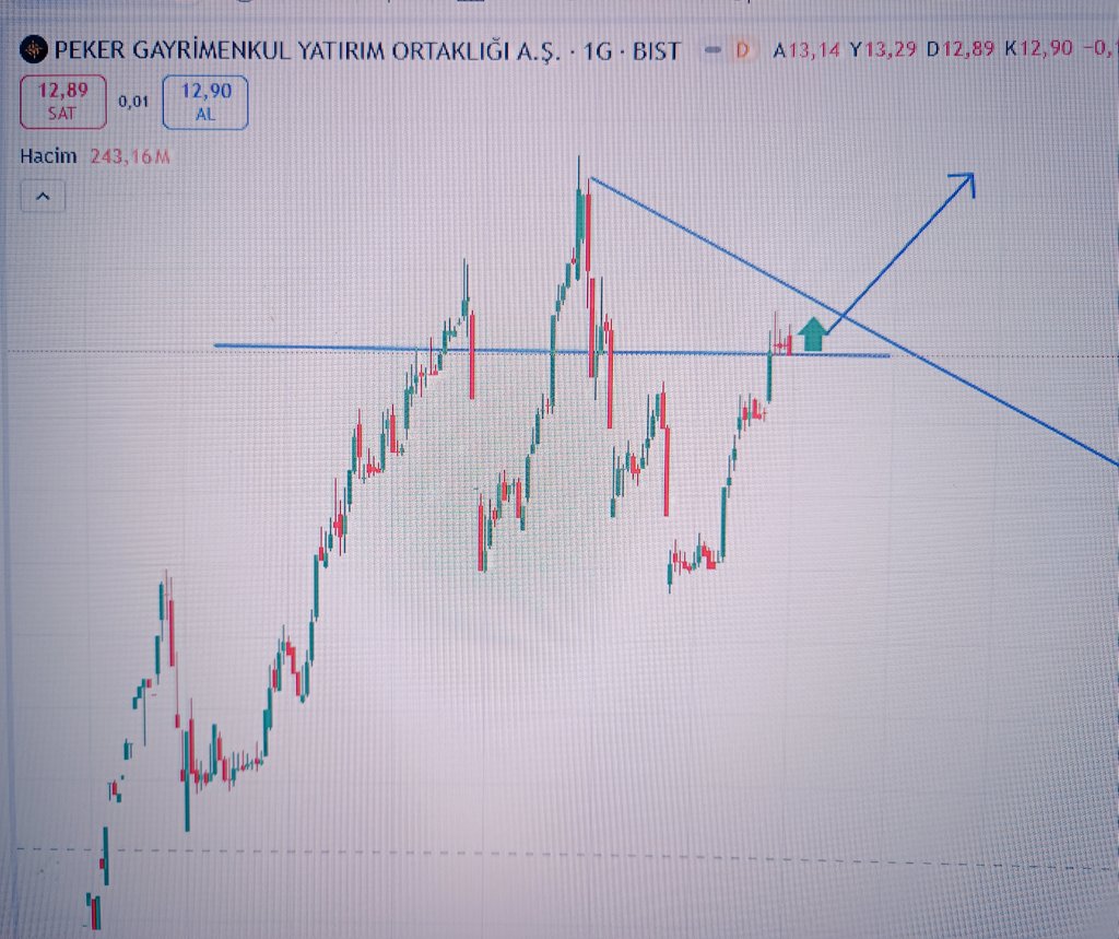 MURAT BEY tweet media