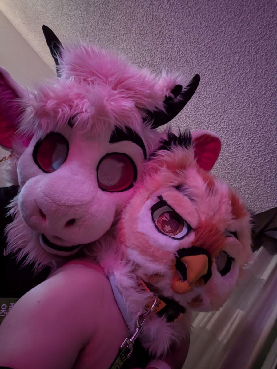 SkullFugg's tweet photo. How many licks to the center of a tootsie pop?
#furry #fursuit https://t.co/1p4E5vPOMP