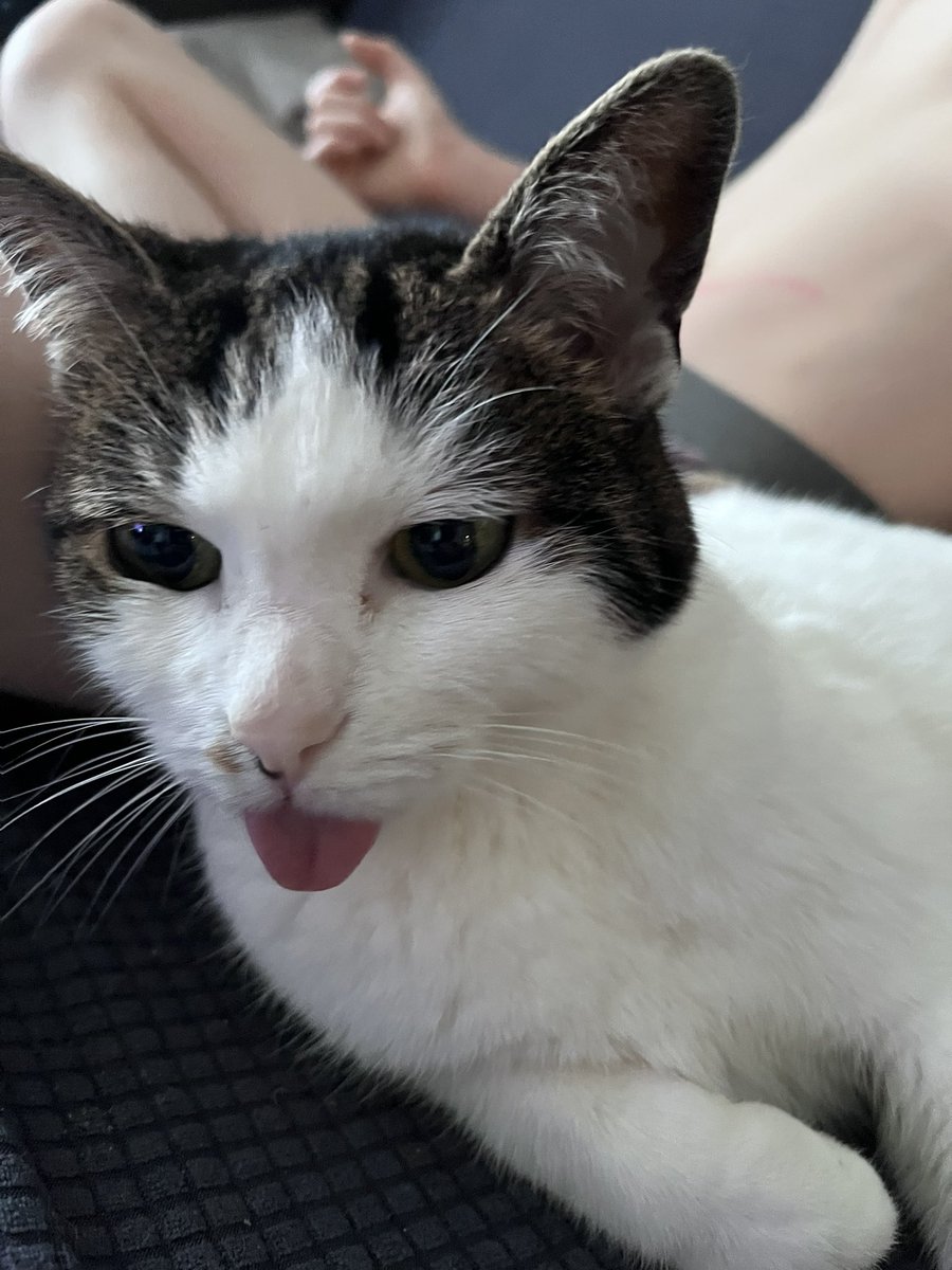 Teck-A-Chu tweet media