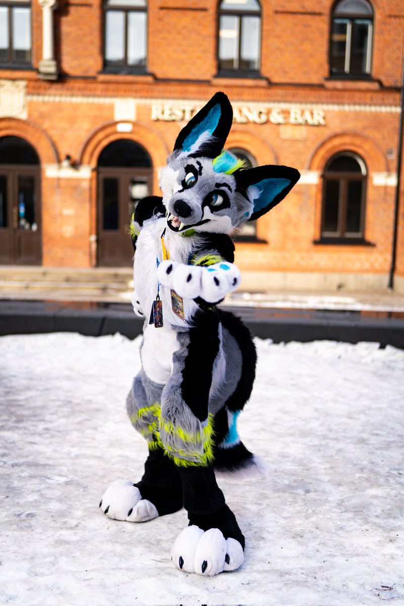 Ziggy Spidox ^,,^ tweet media