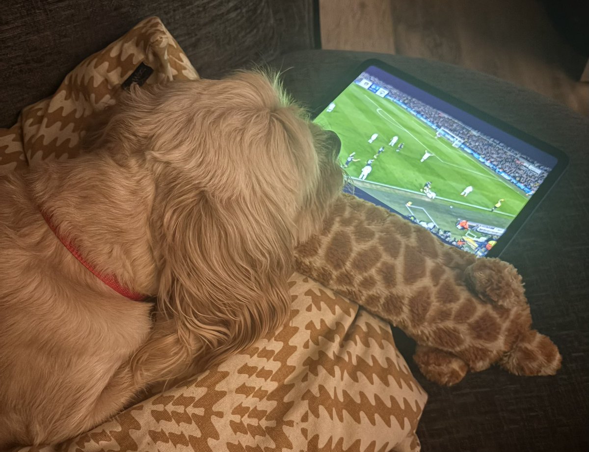 Andy Parry🙌 tweet media