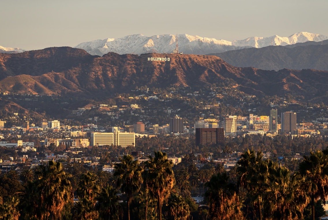 Brandon Yoshizawa tweet media