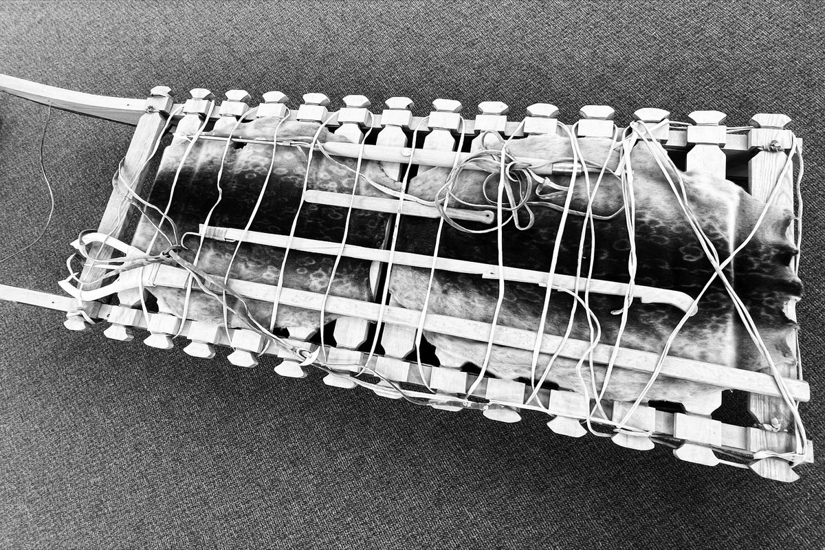 Dr Filippa Lentzos tweet media