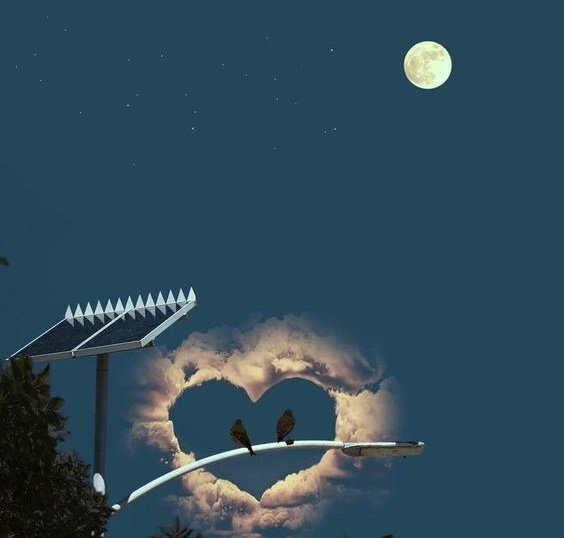 Midnight vibes hitting different, spotlight on OG Labs genius move with AI supply chain guardiansthat keep global trade unbreakable.

OG Labs unleashes predictive agents on their sharded L1, scanning shipping logs, weather patterns, and factory pings to preempt disruptions and