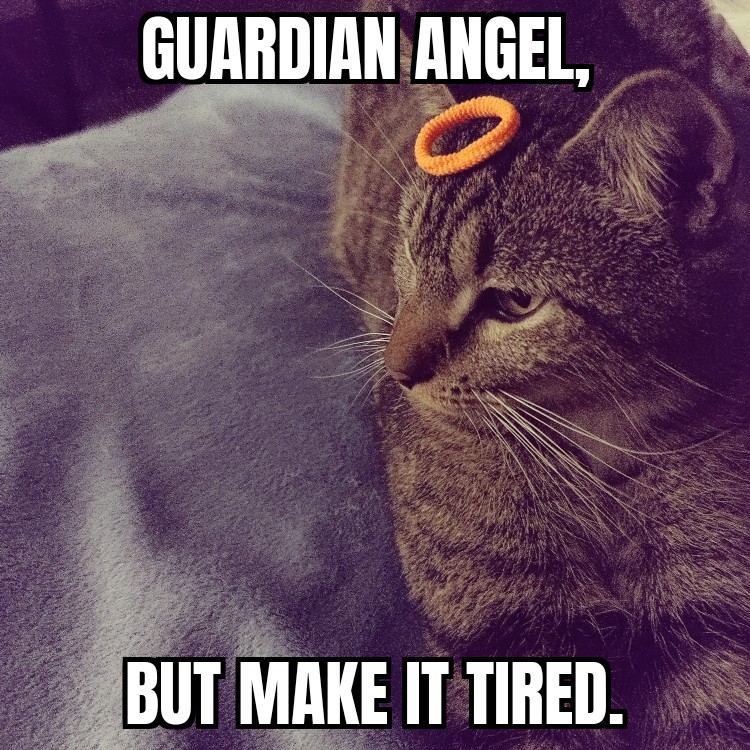 The Demon Remi J. Crowley tweet media