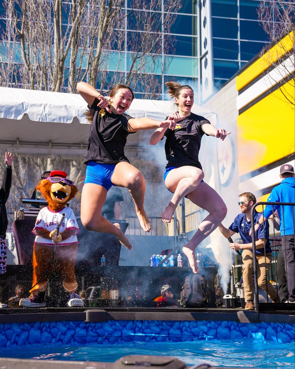 Pitt Volleyball tweet media