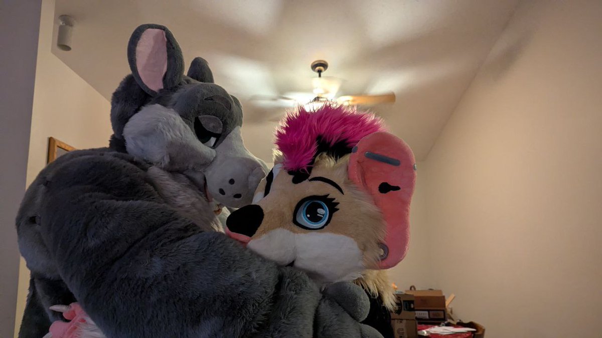 A Certain Stinky Hippo ➡️ TFF tweet media