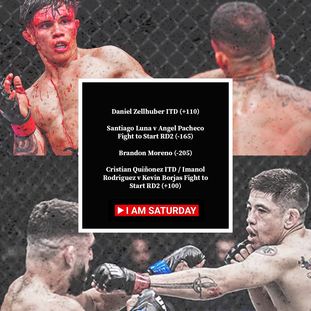 I AM SATURDAY tweet media