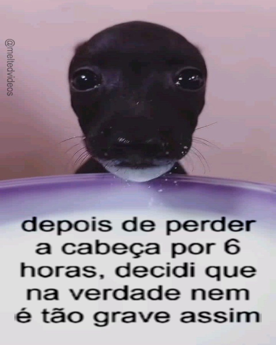 coisas burras ditas de forma inteligente tweet media