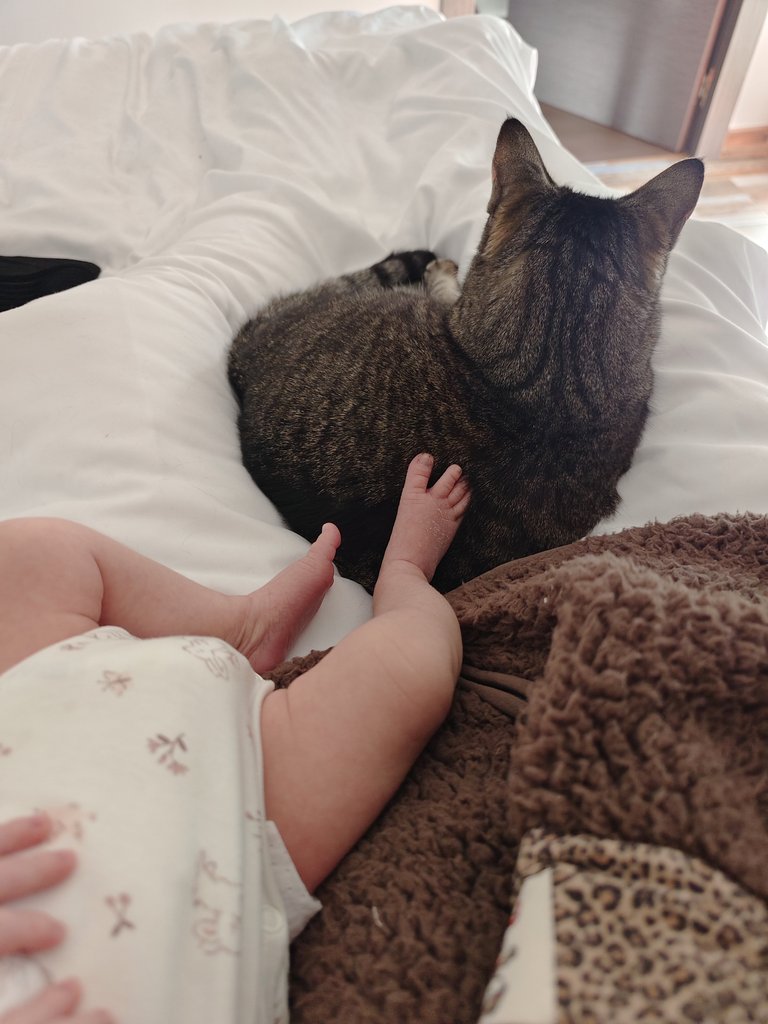 I accidentally scheduled childbirth and game launch in the same month (baby came in Early Access actually) so I'd appreciate you being a girl's girl and sharing the game so I can stay home with my baby 🥹🙏