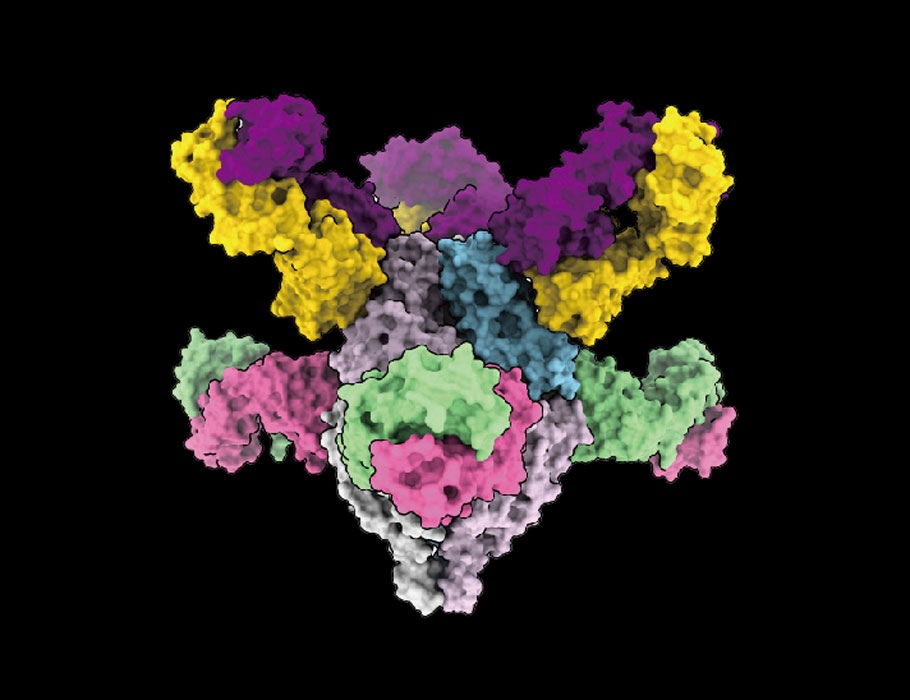 Science Translational Medicine tweet media
