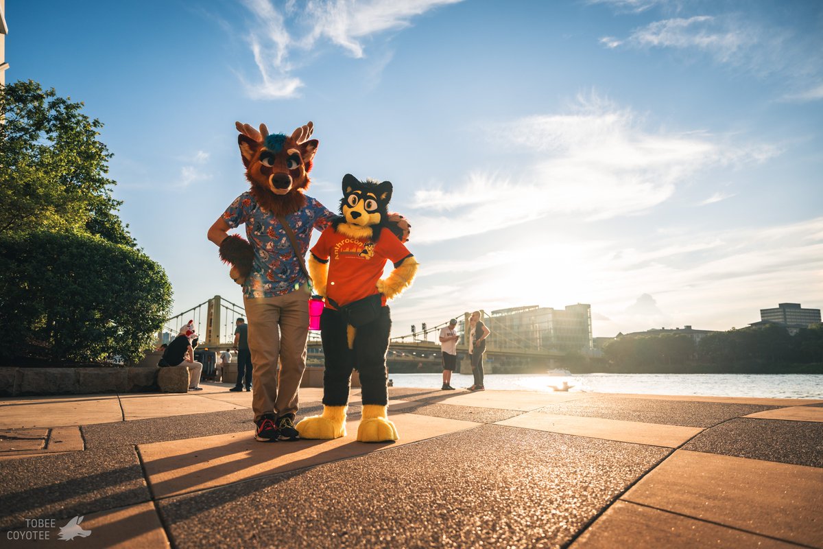 Anthrocon, Inc. tweet media