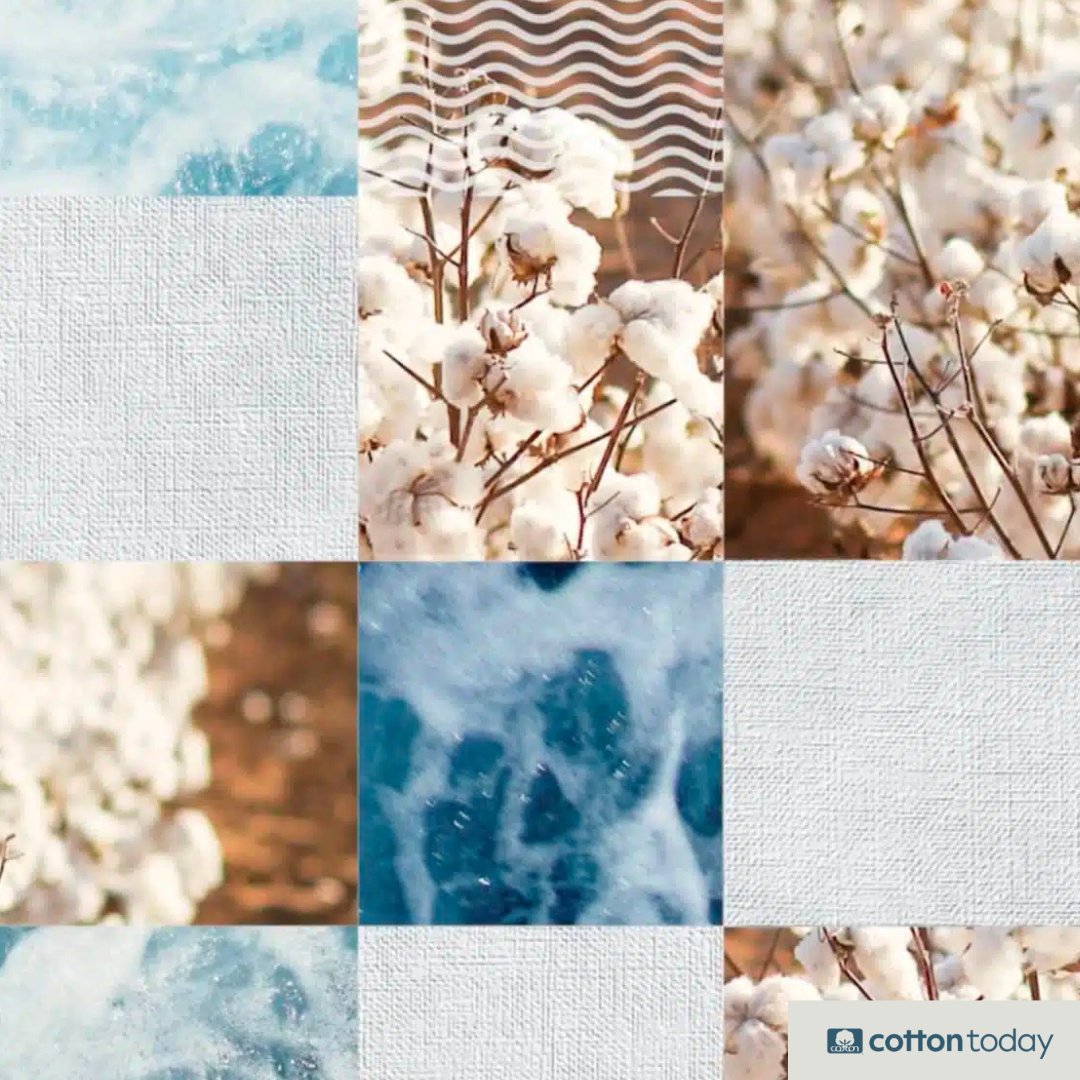 Cotton Incorporated tweet media