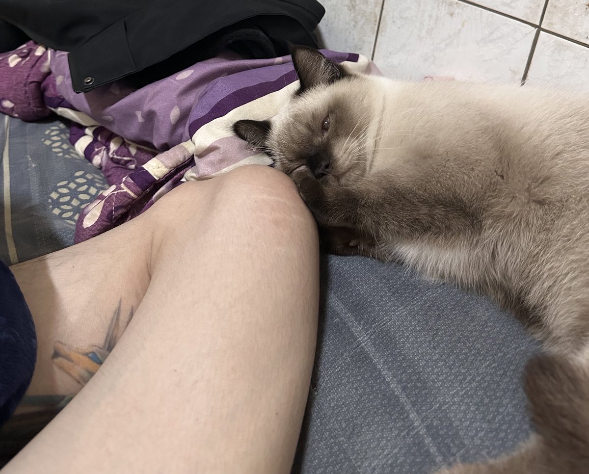 人生瘋子組-K tweet media