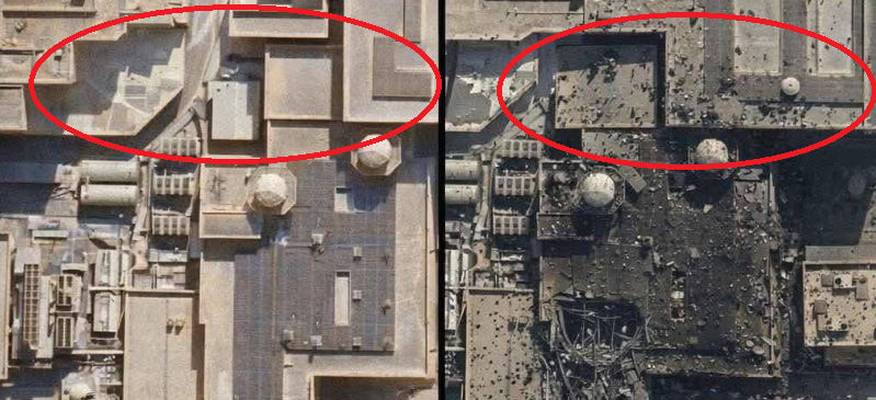 austrian eagle tweet media