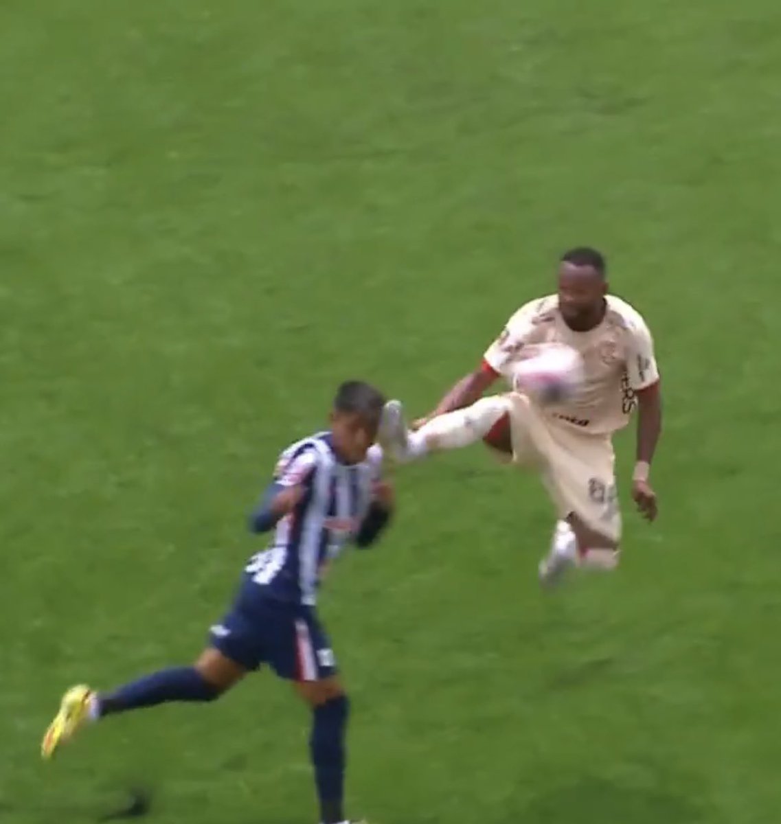 quierosalirenlatele tweet media