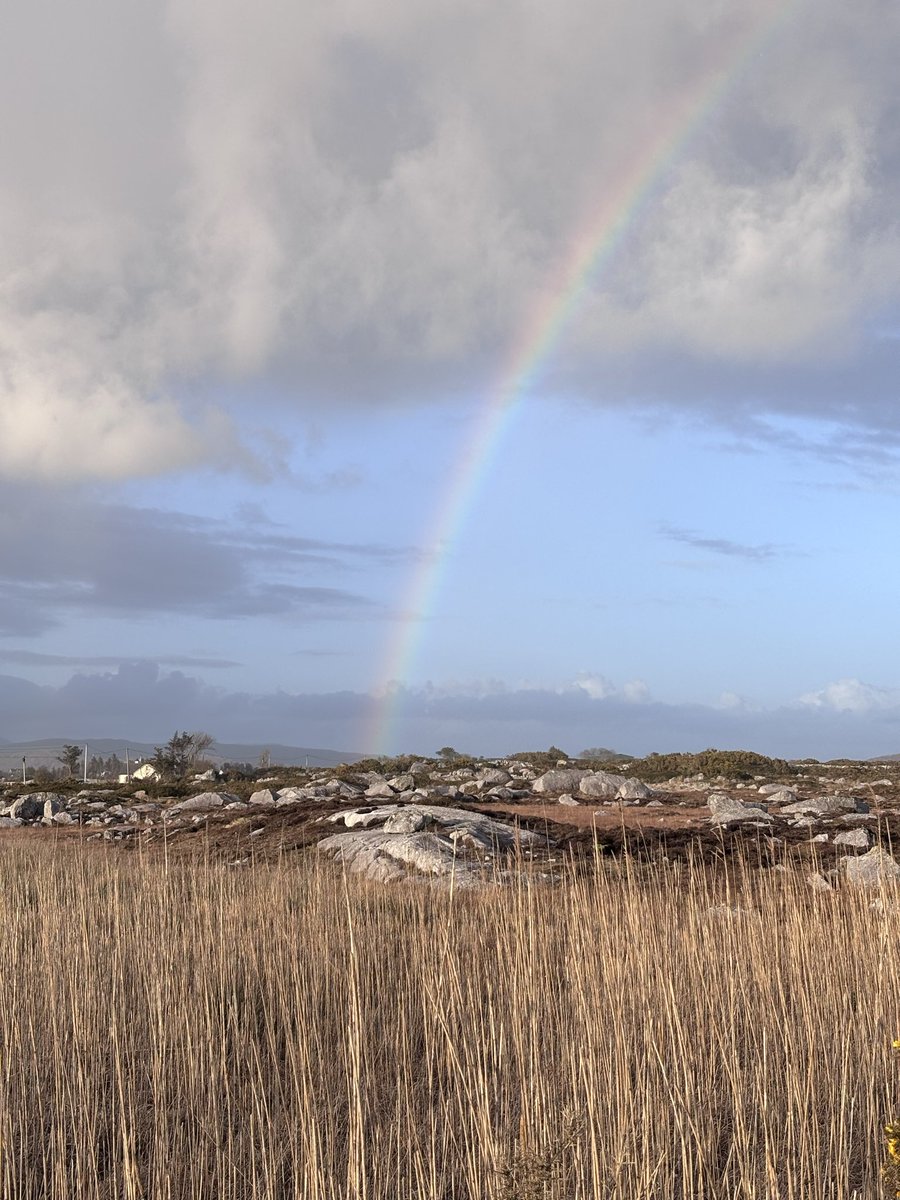paulshanedoran1's tweet image. #Connemara #Conamara