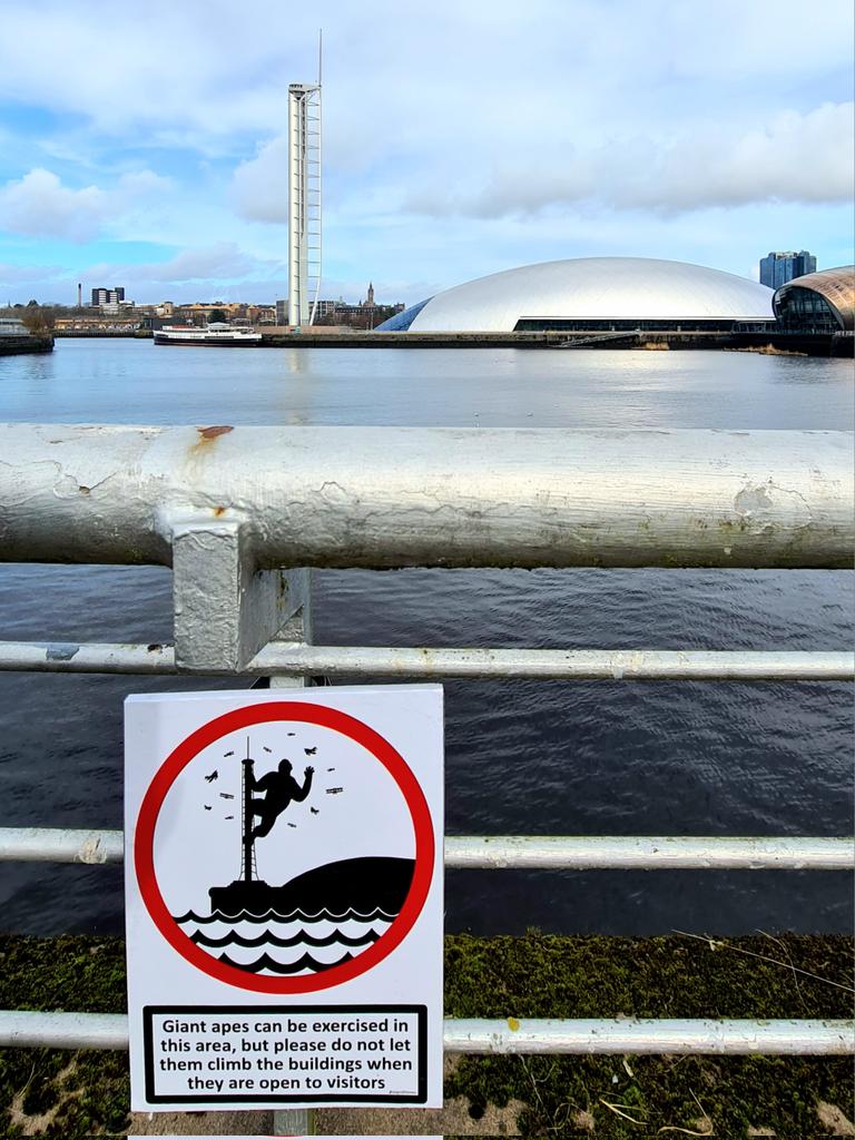 This Is My Glasgow tweet media