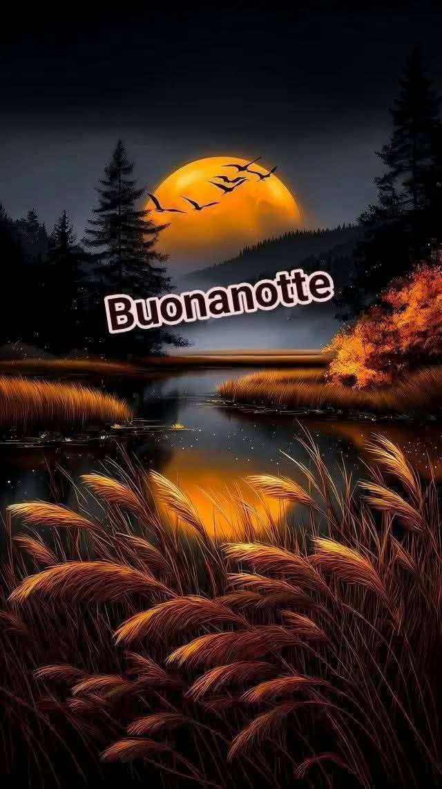 Raffa-ella.....💐 tweet media