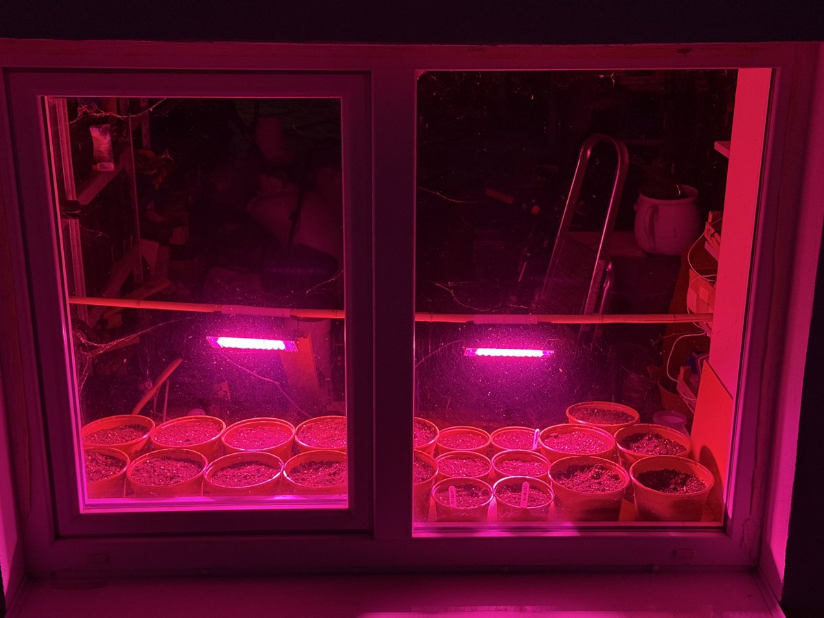 Michal Ševčík tweet media