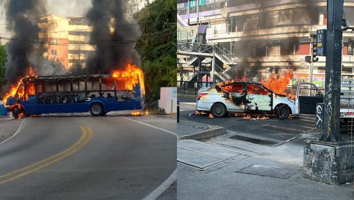 Disfrutador de lo votado tweet media