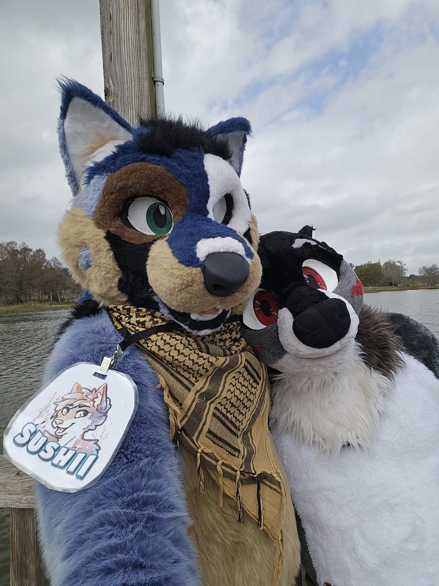 Sushii_Ott tweet media