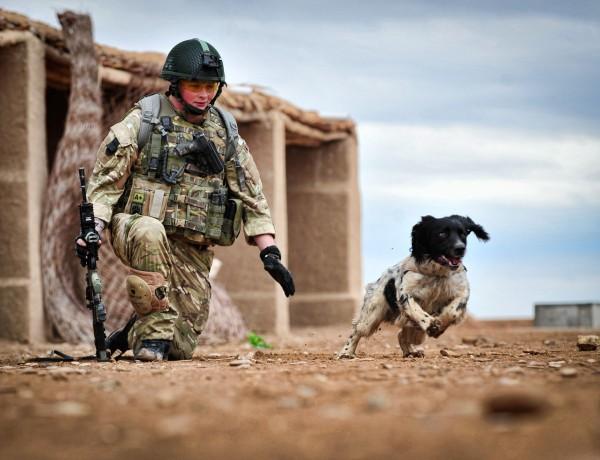 KeyserSosse tweet media