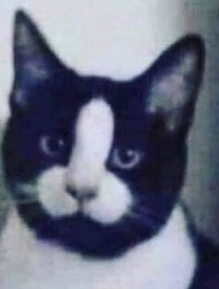 lowerhigher tweet media