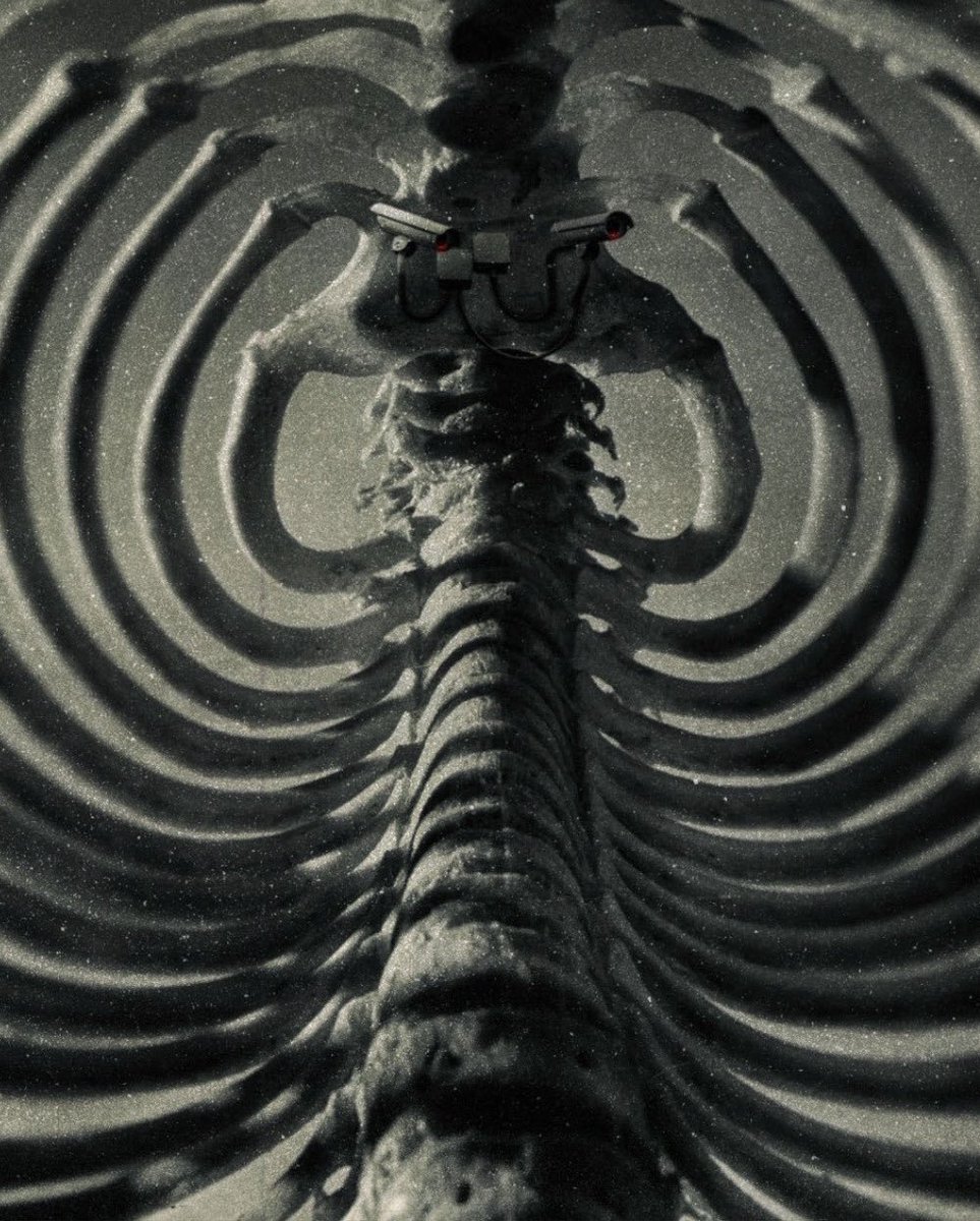 A. L. Crego tweet media