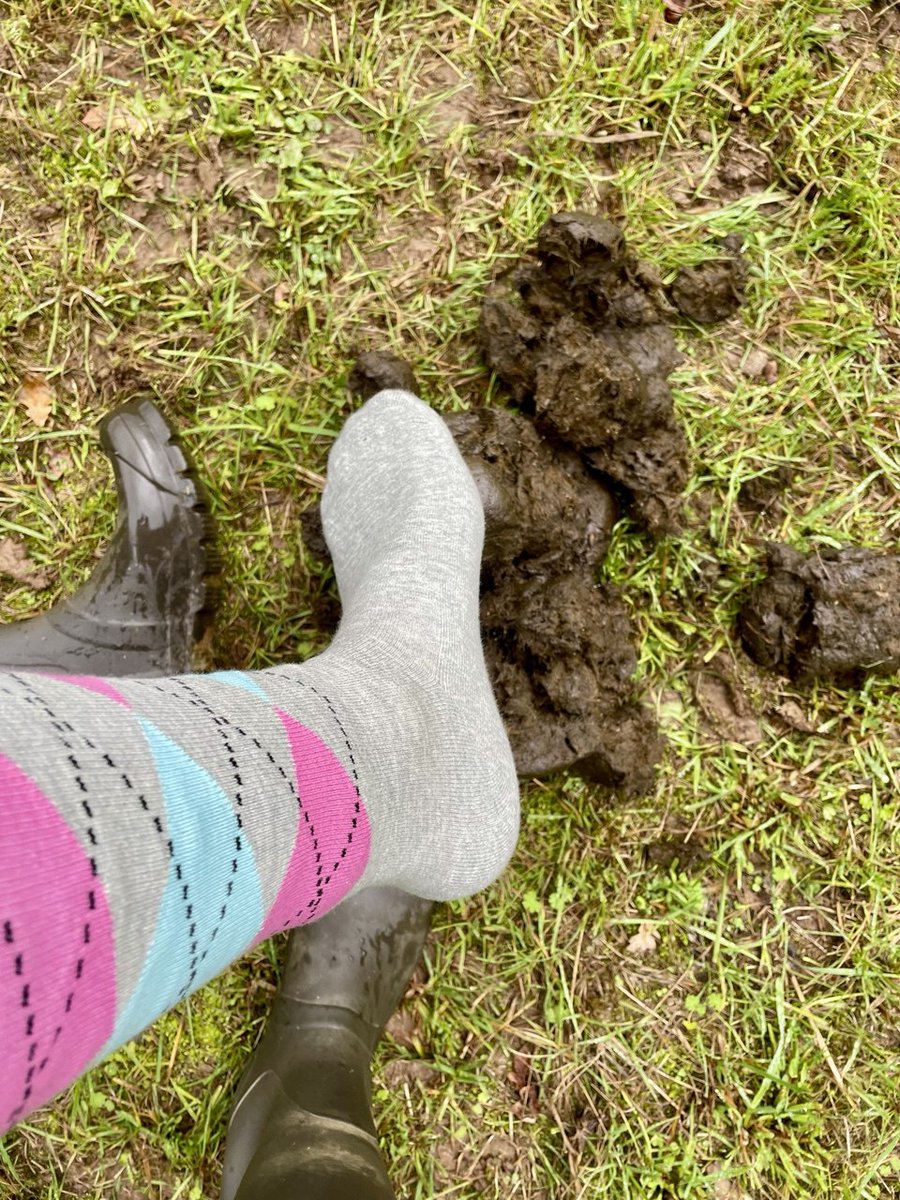 Herrin Anna tweet media