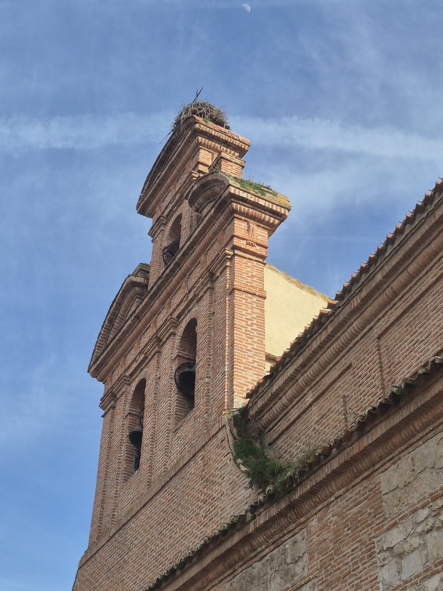 GLlobel's tweet photo. #AlcalaDeHenares Cielo, cigüeñas y espadañas https://t.co/UZh9SrHJ8O